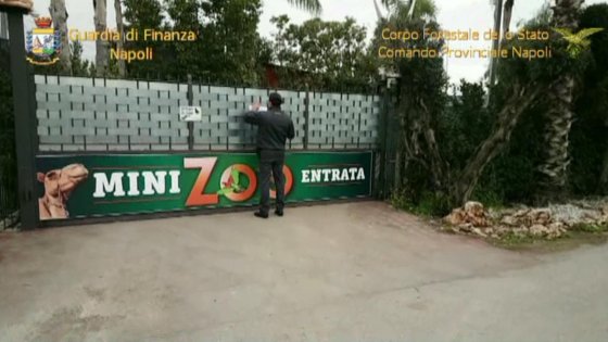 Saviano: smantellato uno zoo abusivo in periferia