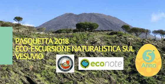 https://www.zerottounonews.it/wp-content/uploads/2018/03/Pasquetta-2018-eco-escursione-naturalistica-Vesuvio.png