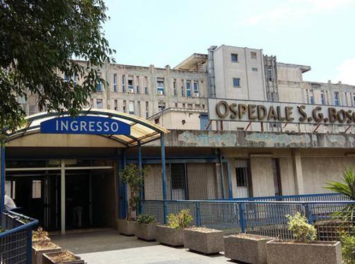 Napoli: ancora formiche all’ospedale San Giovanni Bosco