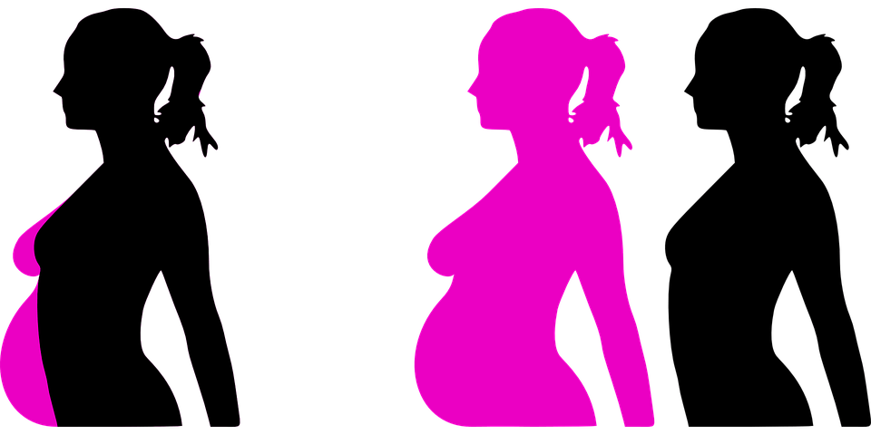 https://www.zerottounonews.it/wp-content/uploads/2019/03/pregnancy-pixabay.png
