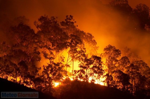 https://www.zerottounonews.it/wp-content/uploads/2019/11/australia-brucia-il-queensland-incendi-catastrofici-cronache-meteo-54461_1_1.jpg