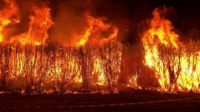 https://www.zerottounonews.it/wp-content/uploads/2019/12/incendi-devastanti-in-australia-emergenza-3bmeteo-98216.jpg