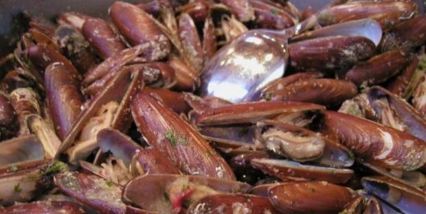 Castellammare: 10 kili di datteri di mare in vendita, ma la pesca è vietata per questa specie