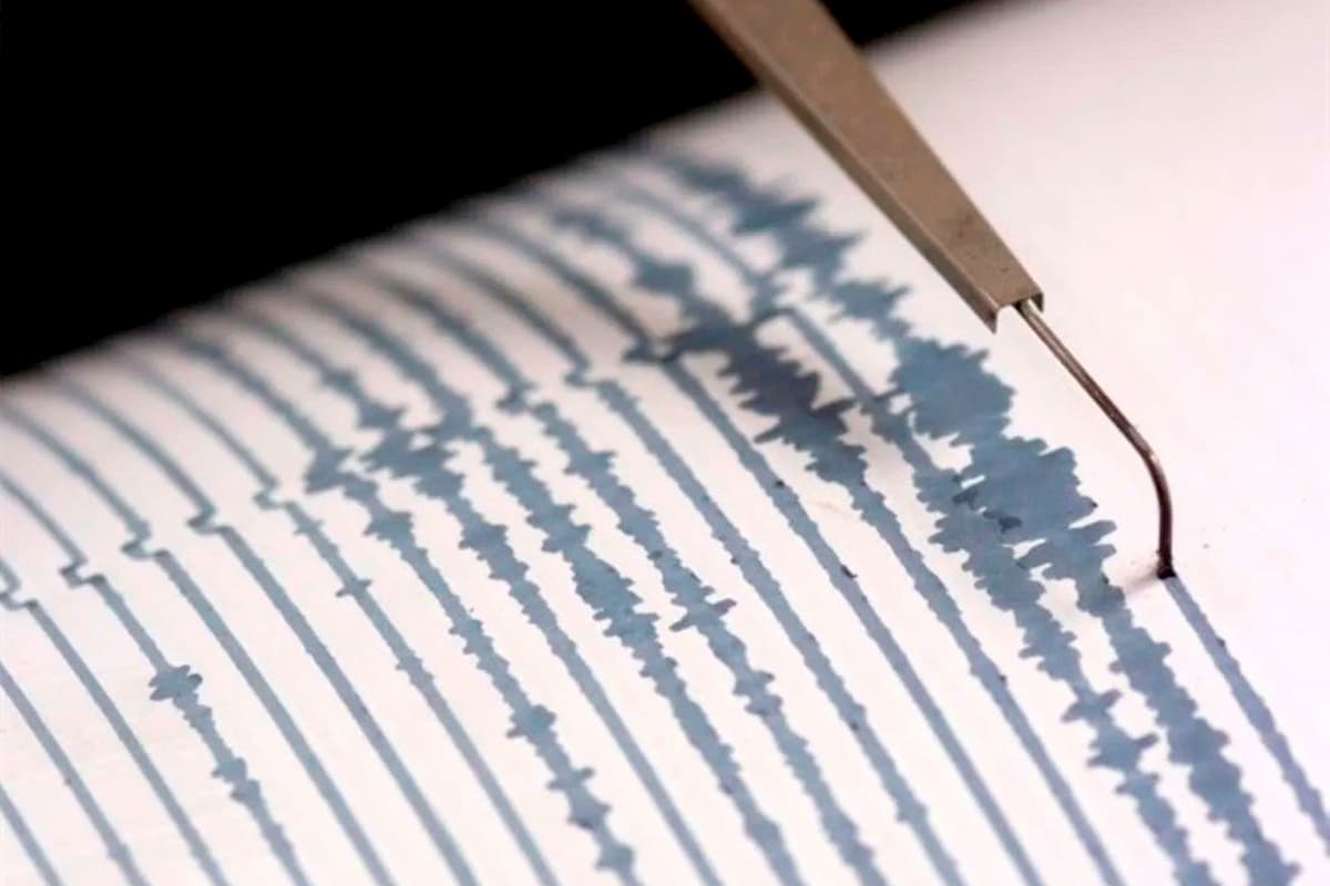 https://www.zerottounonews.it/wp-content/uploads/2020/04/Sismografo-terremoto.jpg