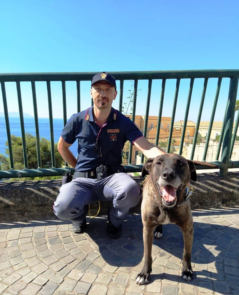 Napoli: cane disperso in strada salvato dalla Polizia