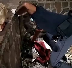 Napoli: polizia scoprono gatto tra i rifiuti e gli salvano la vita