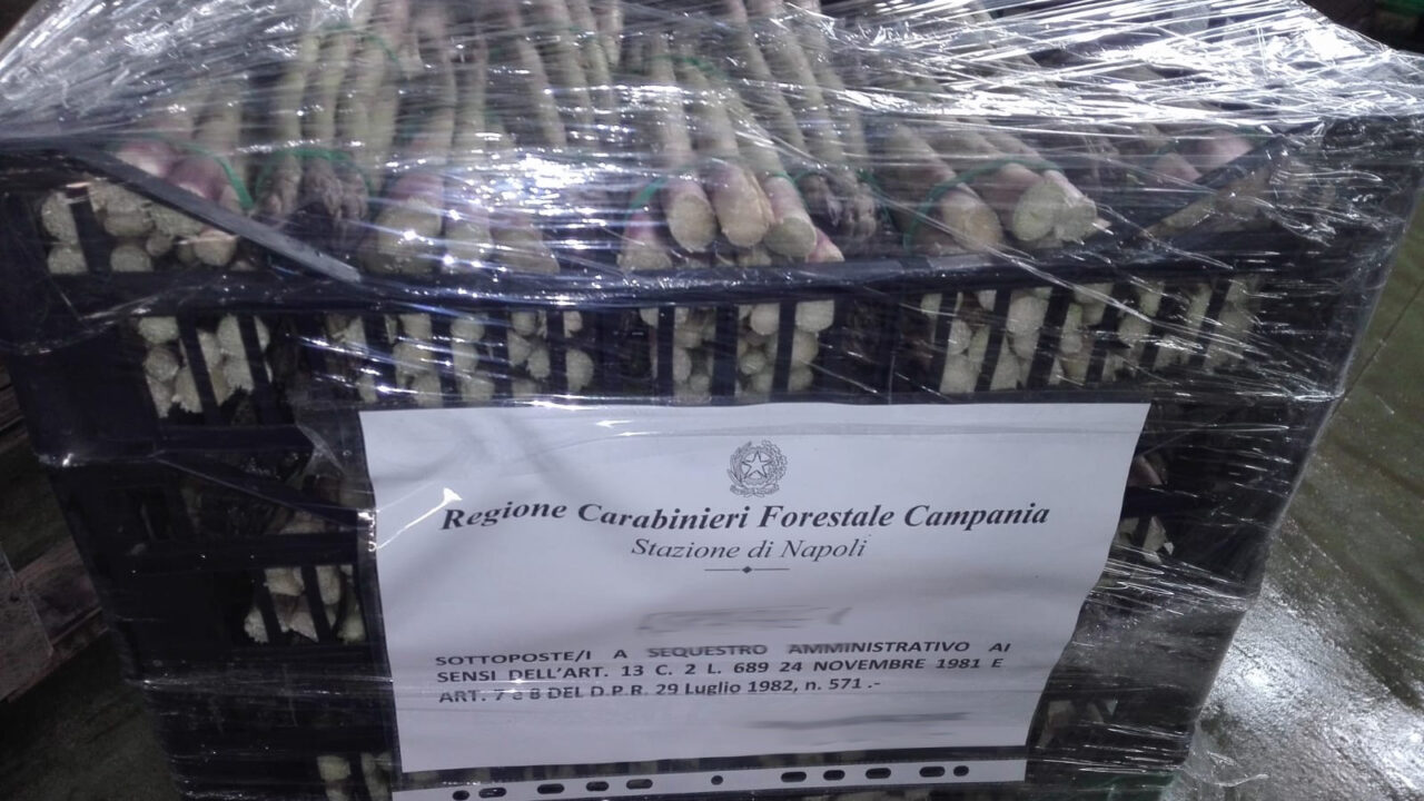 “Falso” Made in Italy: sequestro di mezza tonnellata di frutta e verdura nel Napoletano