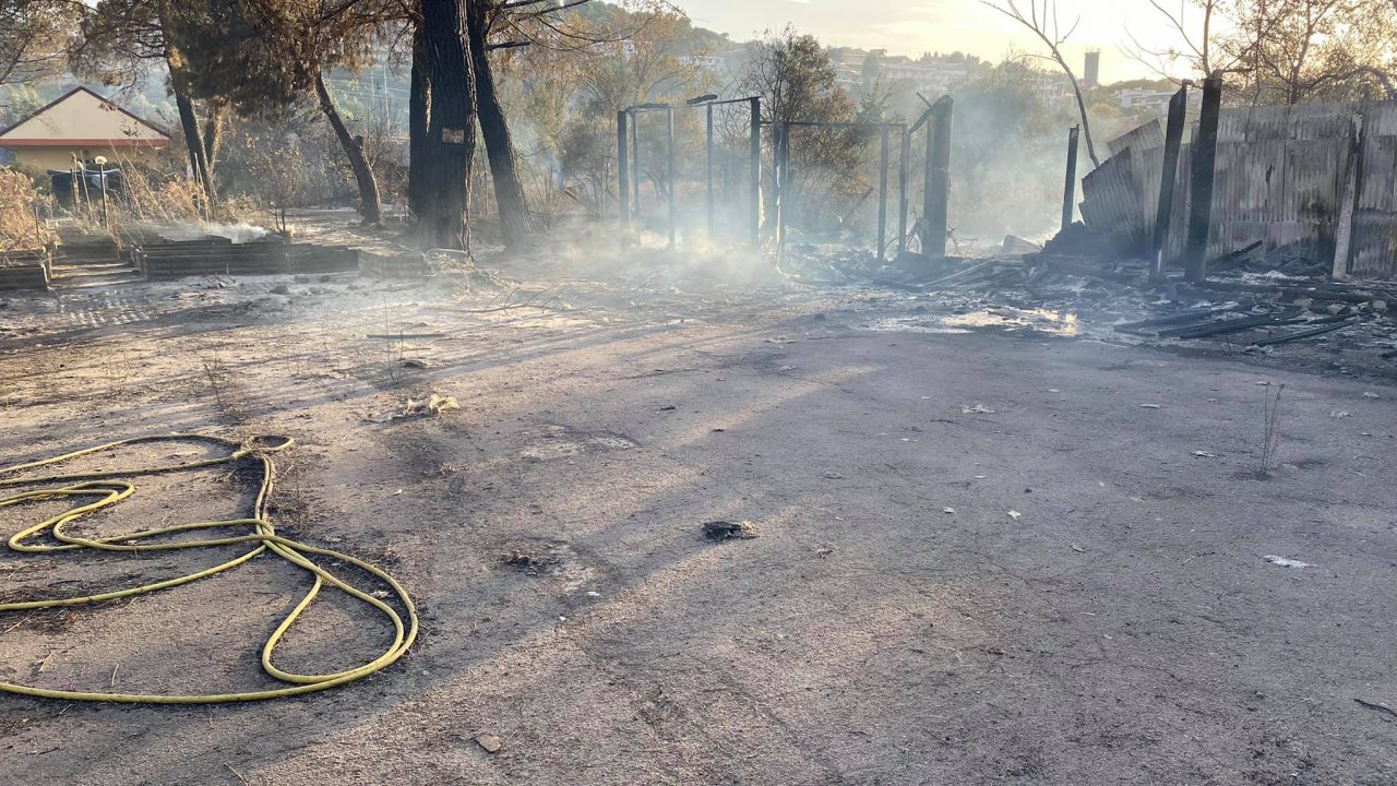 Incendi anche a Pescara: brucia la Pineta Dannunziana